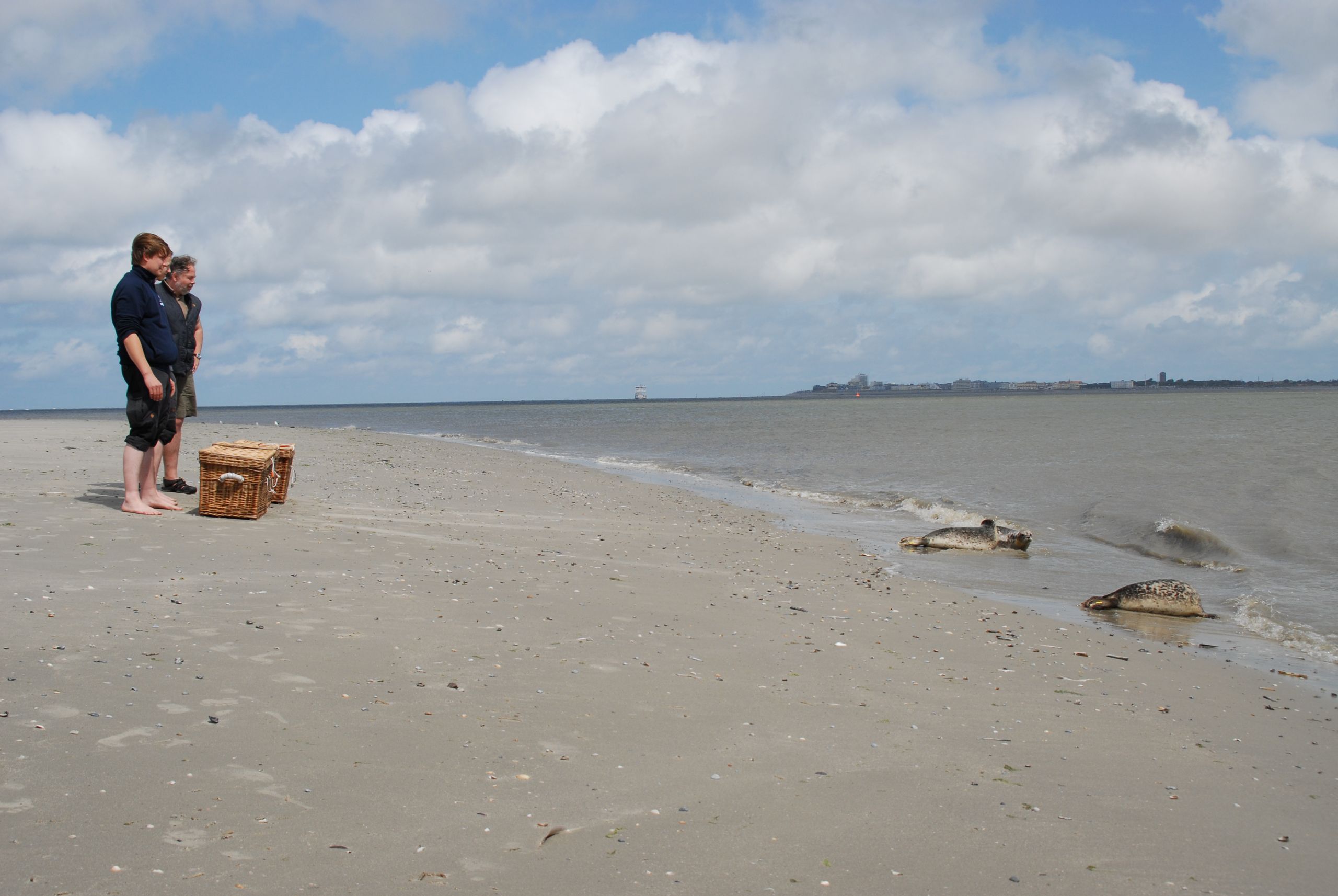 Seehundstation NationalparkHaus in Norddeich
